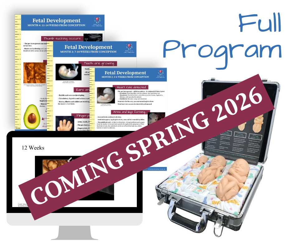 Journey Within Fetal Development Program – PowerPoint presentations – $1,600